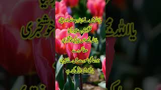 Behtreen Aqwal e Zareen Islamic Quotes // Heart Touching and Amazing Urdu Quotes Collection