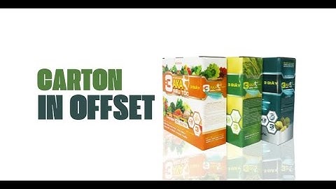 Cập nhật địa chỉ công ty sản xuất thùng carton in offset tại TPHCM