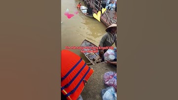 "Lá lành đùm lá rách" Câu tục ngữ nằm lòng của mỗi người dân Đất Việt!!