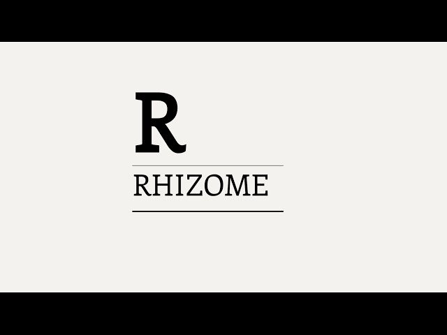 Three Minute Theory: What is the Rhizome? class=