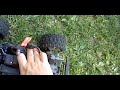 Traxxas mini maxx update