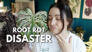My Monstera Devil Monster Became a Rehab Project 😭