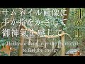 【悲観的な人向け】見るだけで不安な心を癒し身体の気を高める「疫病除け」の神様「大物主」の波動のパワースポット自然音【大神神社 神の山 三輪山】