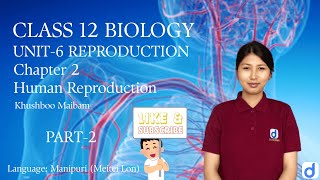 Human Reproduction || Chapter 2 || PART 2 || CLASS 12 Biology || Manipuri || @Dcademy || 12Science