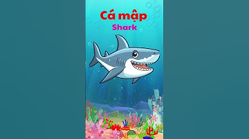 Con vật sống dưới biển- Song ngữ Anh Việt - Nhận biết tập nói- Dạy trẻ thông minh sớm #education