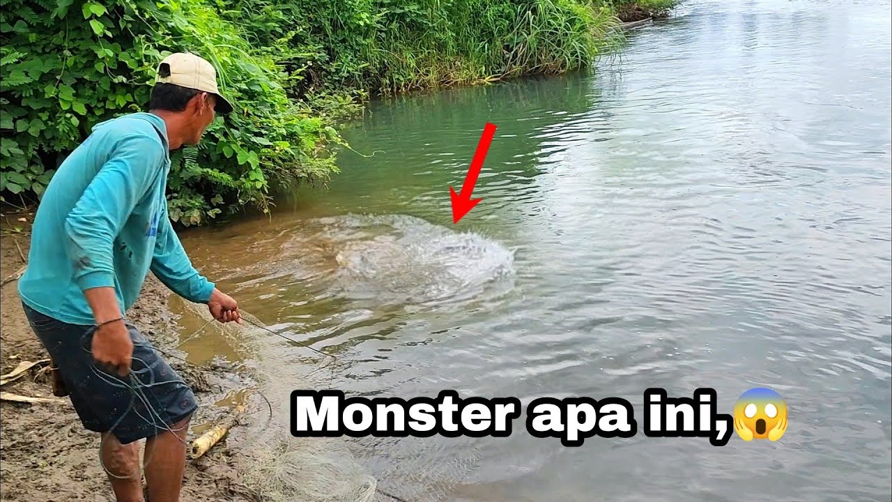 LAGI SERUNYA JALA IKAN ‼️TIBA-TIBA ADA SESUATU YANG KENA JALA.!!! Amazing fishing nets