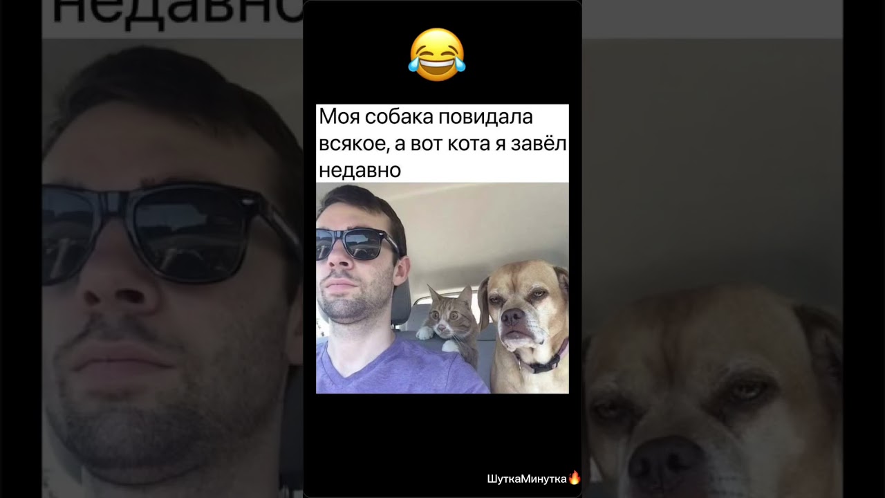 🤣🤣🤣🤣🤣нимагу
