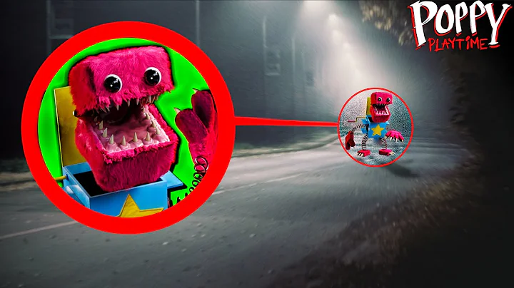 I Found BOXY BOO From PROJECT PLAYTIME IN REAL LIFE!