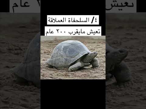 اطول 5 حيوانات عمرا