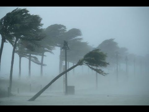 Video: Uragano „Harvey“epicentre Buvo Atrastas NSO - Alternatyvus Vaizdas