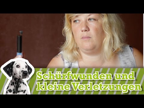 Video: Wie Man Hundewunden Zu Hause Behandelt
