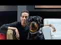 اوسكار كلب Rottweiler  تم التعامل معاه بطريقتي وده اللي حصل | Mahmoud And Kovu محمود و كوڤو