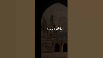 #القارئ_ياسر_الدوسري #سورة_الزخرف  [68-70]