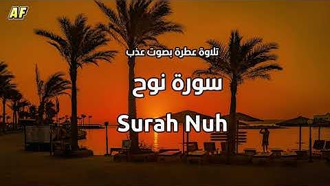 71- سورة نوح بصوت شجي وجميل - القارىء الشيخ علاء عقل