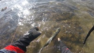 Bidbid strikes!!! Quick Casting | Ultralight Fishing