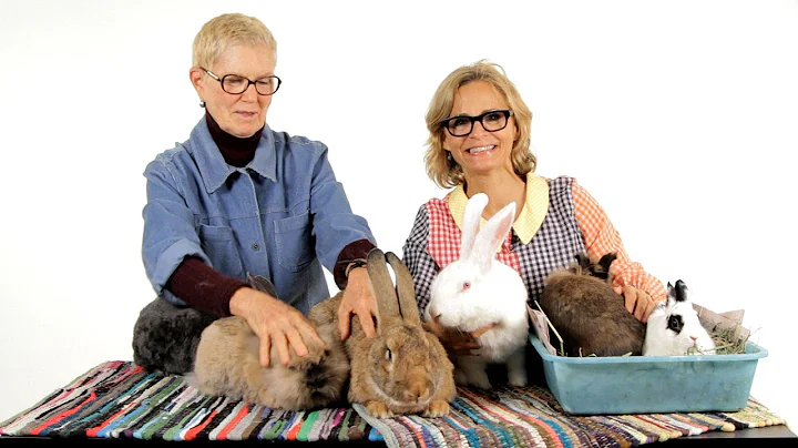 Which Rabbit Breed Is Best? | Pet Rabbits