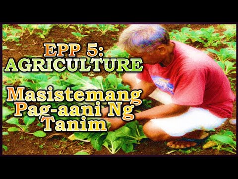 EPP 5 Agriculture - Masistemang Pag-aani ng Tanim