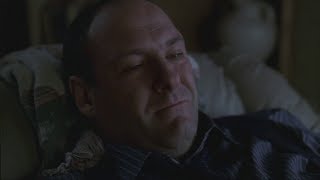 Tony Crying Watching Public Enemy - The Sopranos HD