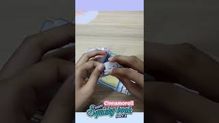 Cinnamoroll mini Squishybook is here Part2 #diy #squishybook #recreate