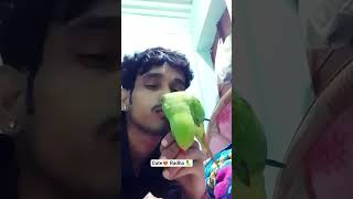 ये दर्द जुदाई हम किसको सुनाये 🦜🥹 #shorts #talkingparot #animals