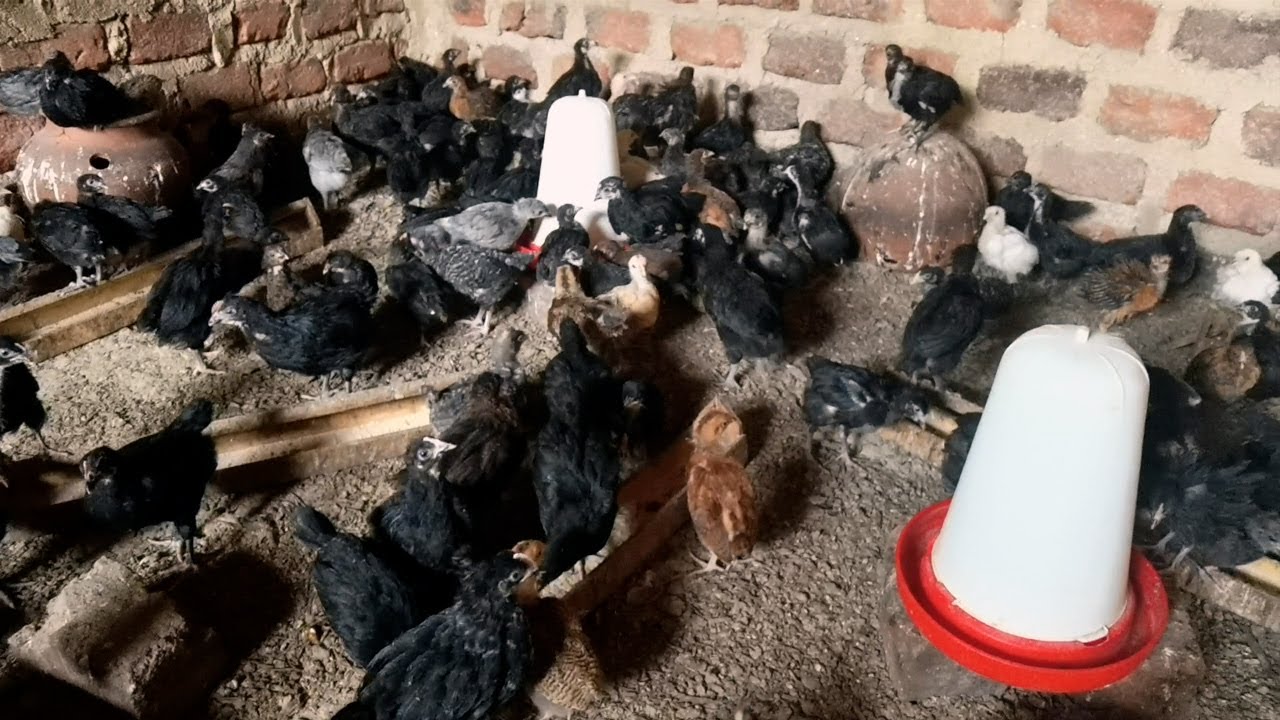 TUWUNZISE OMUSOMO GW'OKULUNDA ENKOKO ENNANSI