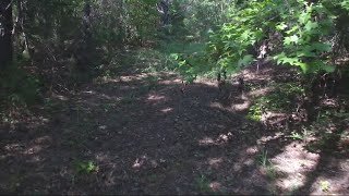 Chilton County snake bite