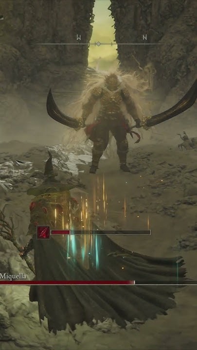 When You Think You Can Easily Defeat Radahn... #eldenring #