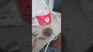 29 Ağustos 2025 Resimi