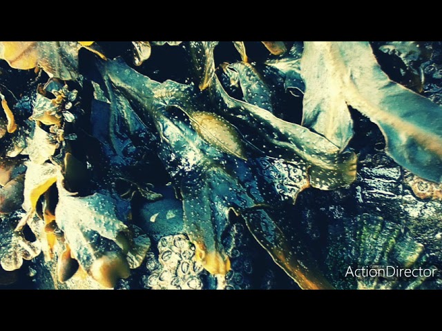 在 YouTube 上观看 Ian Arkley - Out From (from the album One). Official promo.