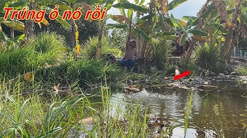 Câu cá . Bỏ xuống là ăn dính toàn hàng khủng . Tập 14