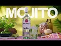 The Original BACARDÍ Mojito Cocktail Recipe