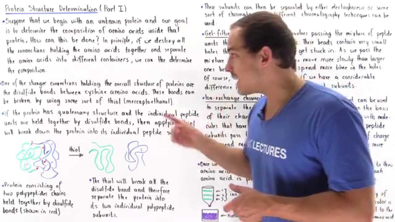 Determining Protein Struture