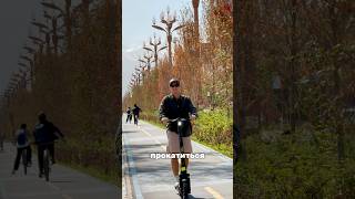 Крутой маршрут по Бишкеку #кыргызстан #бишкек #kyrgyzstan