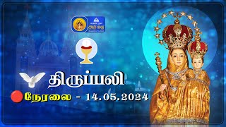🔴 LIVE : Holy Mass In Tamil - 14th May 2024 | Annai Vailankanni Shrine | Besant Nagar Annai