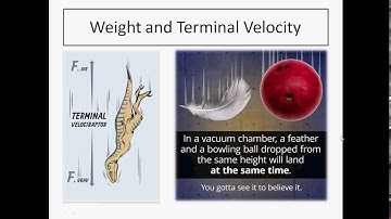 Weight and Terminal Velocity - GCSE Physics Revision