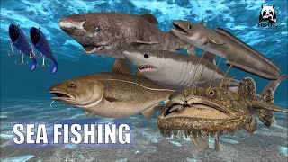 Fishing at sea with a large lure|  Russian Fishing 4 RF4 Norwegian Sea.