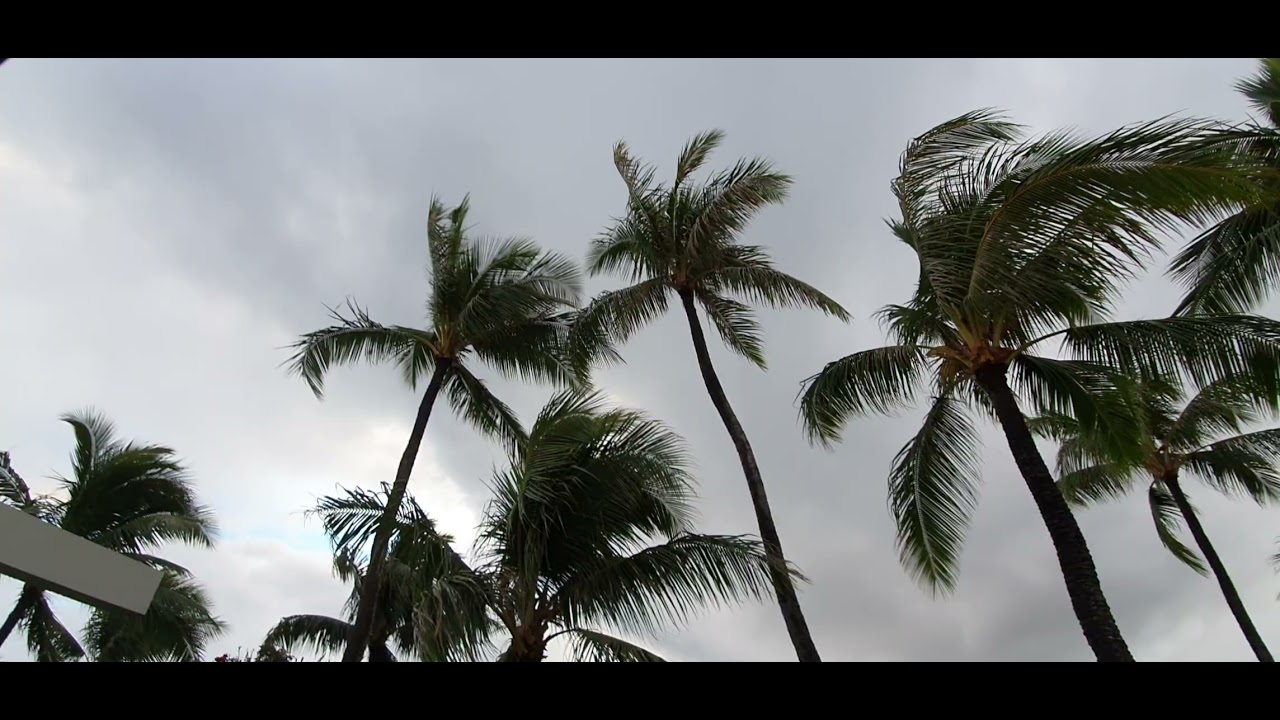Cool cloudy day - YouTube