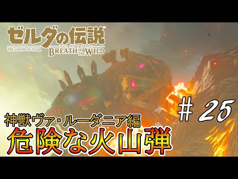 ゼルダbotw 料理 燃えず薬 のレシピ 効果 能力 入手方法 ブレスオブザワイルド 攻略大百科