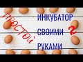 Инкубатор своими руками (Часть 2 - простая конструкция)