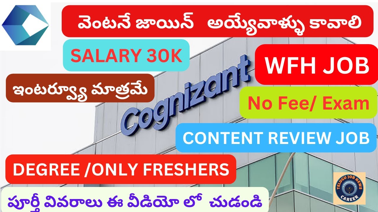 Junior Process Executive Job Description