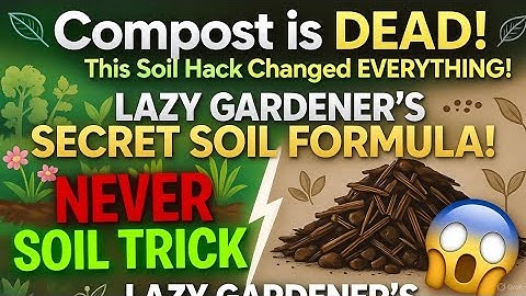 “I’ll NEVER Make Compost Again – This Lazy Soil Trick Beat My Compost Pile 10x Faster!”