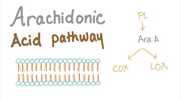 Arachidonic Acid Pathway- The most Comprehensive Explanation - COX-1, COX-2, LOX,Prostaglandin, LTNs