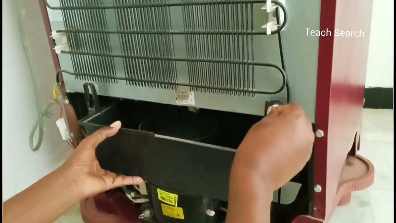How to clean refrigerator back side Clean Fridge Coils Refrigerator