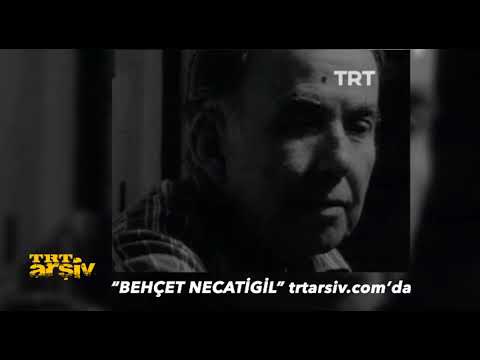 Behçet Necatigil