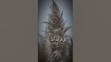 سورة الاخلاص #اكسبلور #تصويري #قرآن #duet #لايك #قرآن #nature