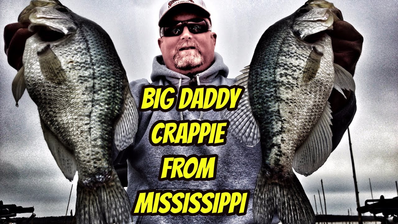 Crappie Masters Day 1 Grenada Lake 2021 