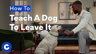 How to Teach Your Dog to Leave It