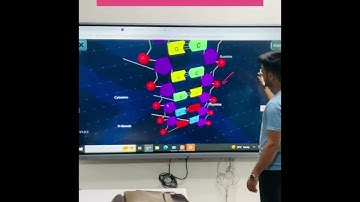 Behind the Scene of 3D Structure of DNA | NEET 2023| Molecular Basis of Inheritance| Pankhuri Ma
