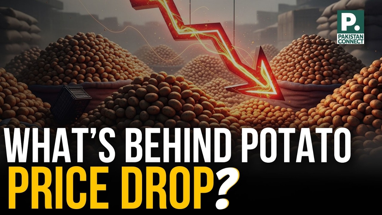 What’s Behind Potato Price Drop? | Lahore | Shahid Hanif | Pakistan Connect