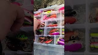 Avoid These Fishing Mistakes in Finland 🎣 LoR Tips &amp; Tricks! #fys #shortvideos #short #viralvideos